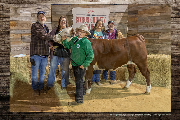 Steer Auction #38