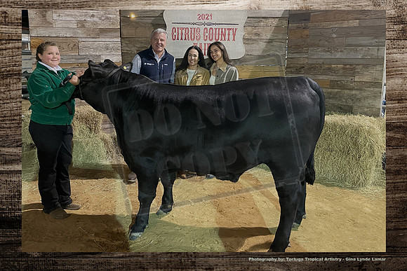 Steer Auction #40