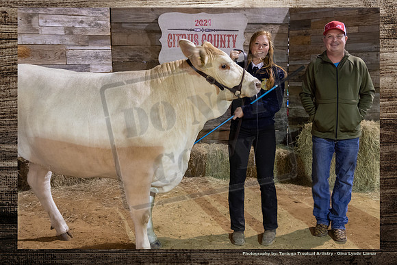 Steer Auction #55
