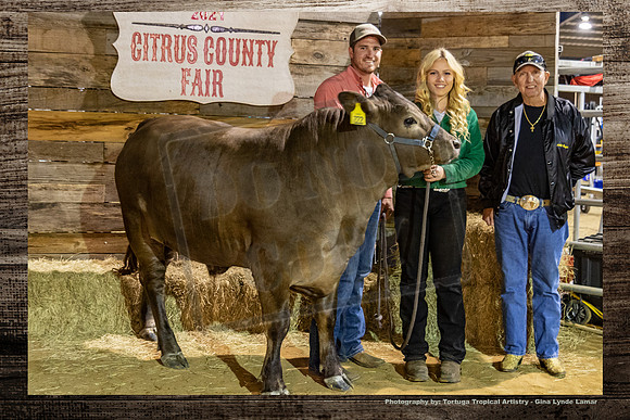 Steer Auction #58