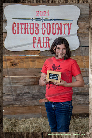 Awards Swine Best Decorated