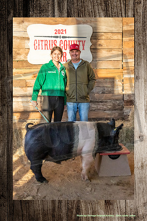 Swine Auction #105