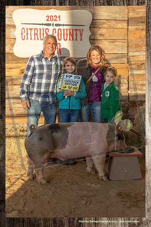 Swine Auction #104