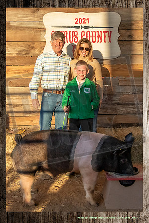 Swine Auction #106