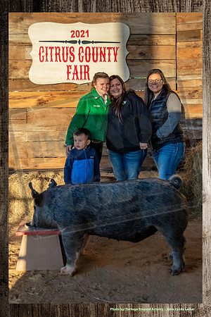 Swine Auction #107