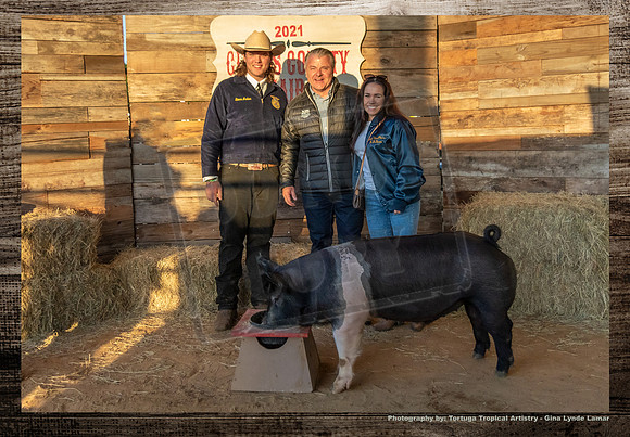 Swine Auction #110