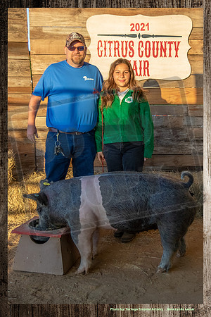 Swine Auction #111
