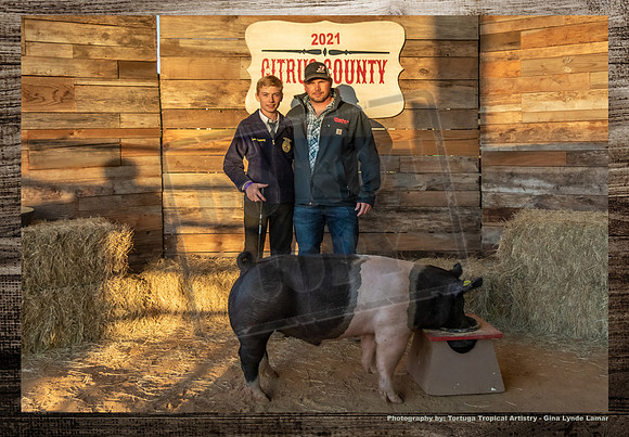 Swine Auction #112