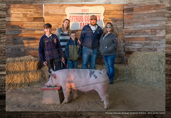 Swine Auction #117
