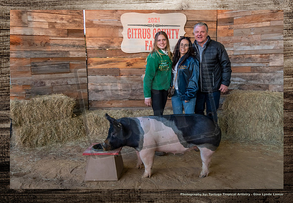 Swine Auction #119