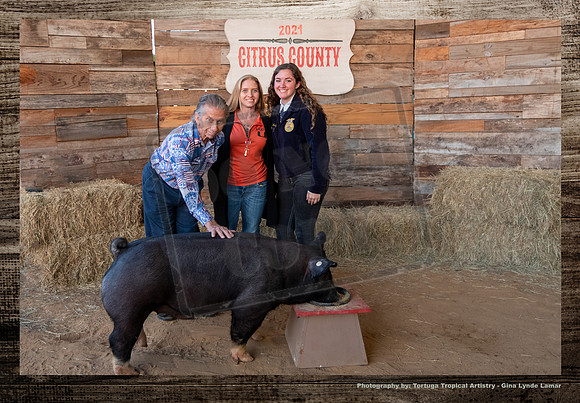 Swine Auction #120