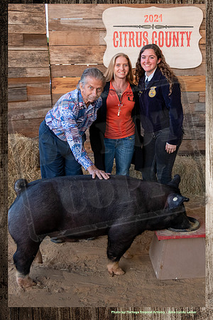 Swine Auction #120a