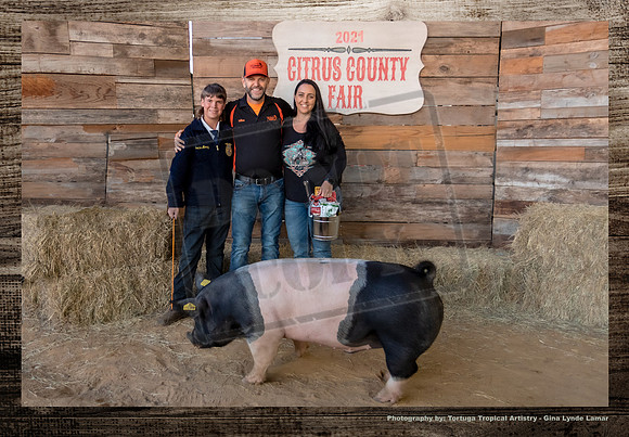 Swine Auction #122