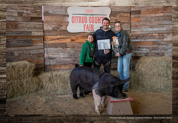 Swine Auction #123