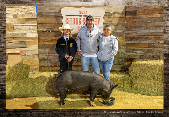 Swine Auction #133