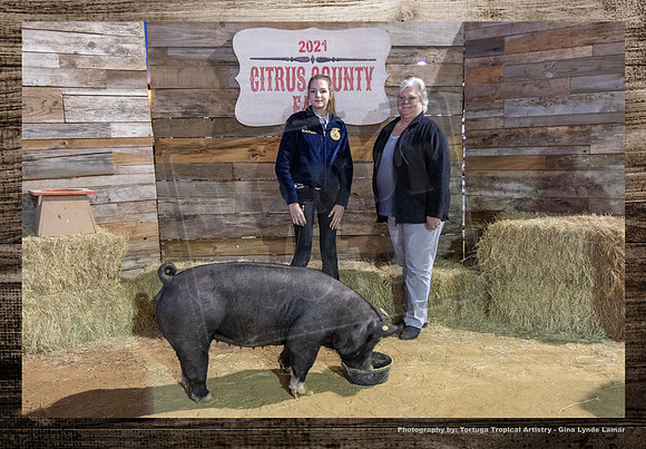 Swine Auction #134