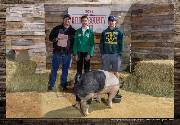 Swine Auction #135