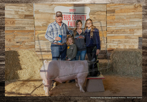 Swine Auction #101