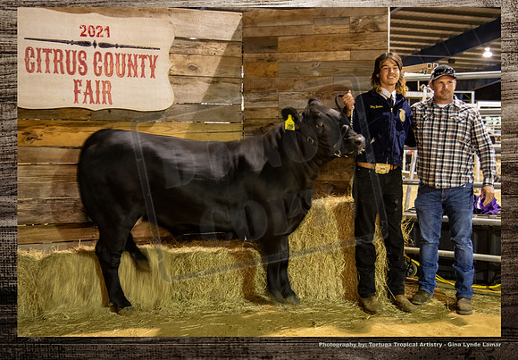 Steer Auction #45