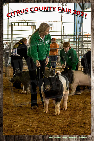 Swine #8 TWaller