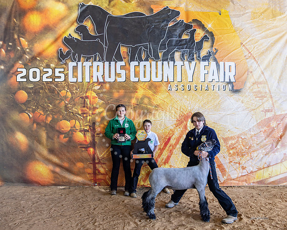 Market Lamb Resv Grand Champion