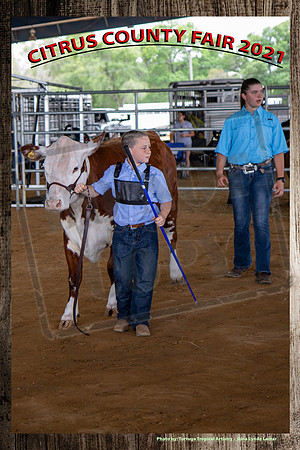 334PeeWee