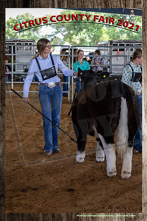 342LBehringerOBS3