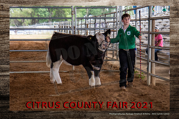 181EvLaturnoYBS