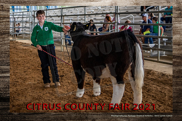 181EvLaturnoYBS3