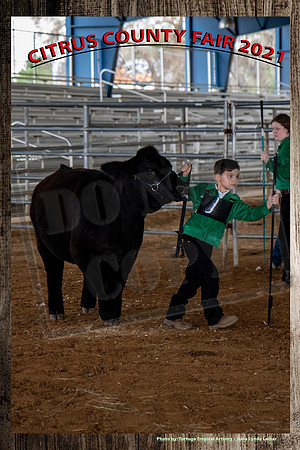 170JBolling7