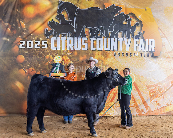 Grand Champion