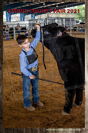 305Jbolling15