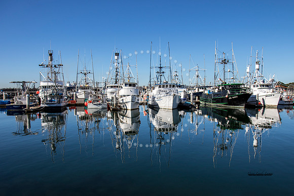 SanDiegoBoats