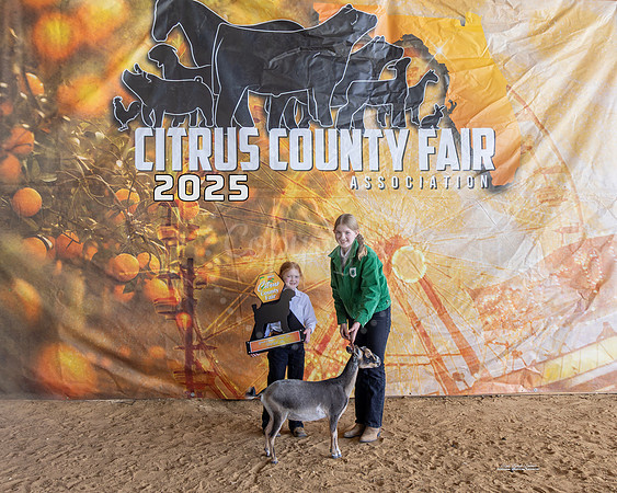 Dairy Goat Grand Champion