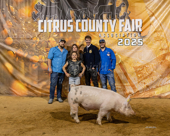 #168 Swine