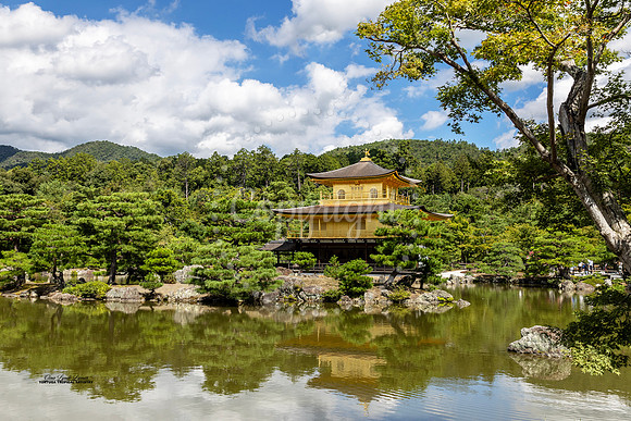 Kinkaku-ji Golden Temple