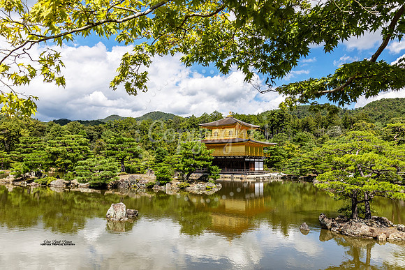 Kinkaku-ji Temple