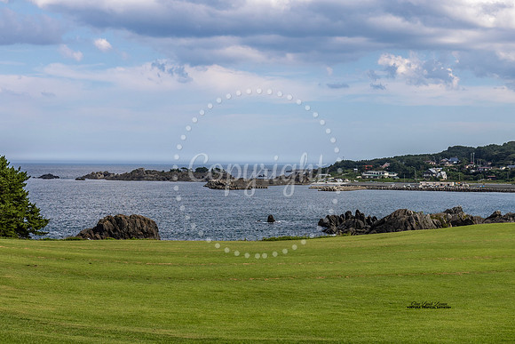 Tanesashi Coast Natural Lawn