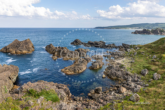 Tanesashi-kaigan Coast
