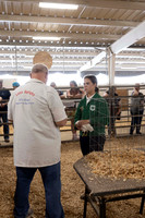 Poultry