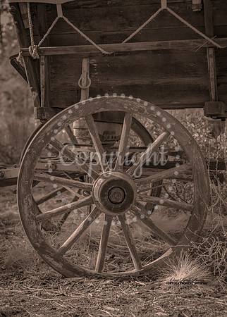 WagonWheel2