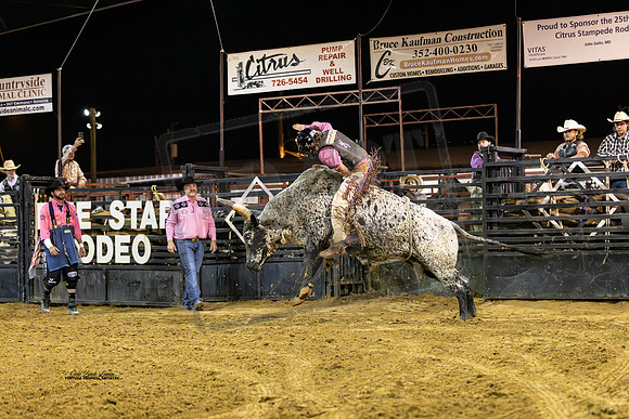 Bucking Bull