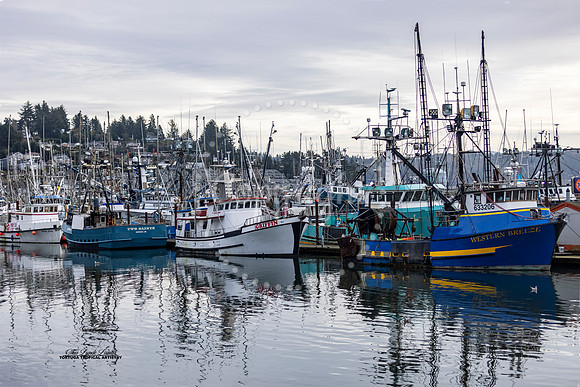 Newport Port