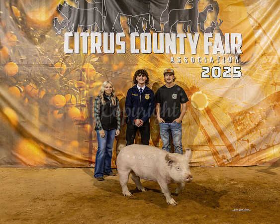 #161 Swine