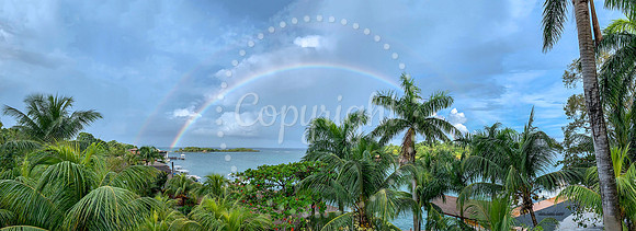 Roatan Rainbow