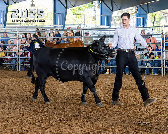 C Olson #1