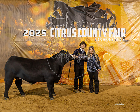 Steers #43