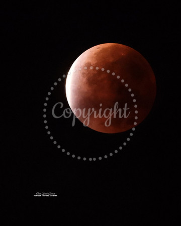 Beaver Moon Eclipse