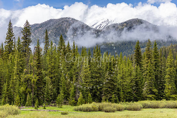 Hazy Mountain