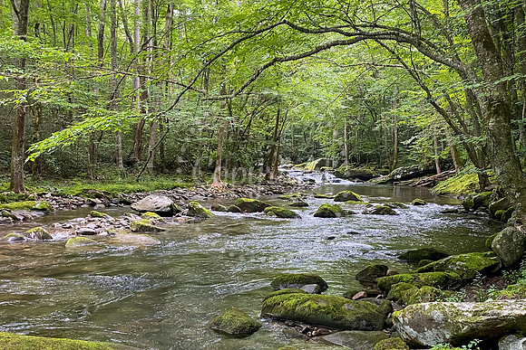 Calm by the Creek